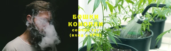 бошки Алзамай