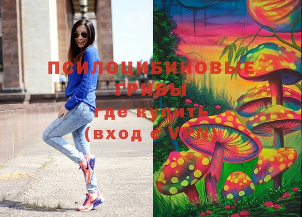 бошки Алзамай