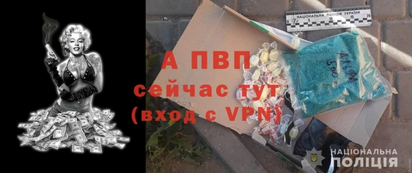 мяу мяу мука Медвежьегорск